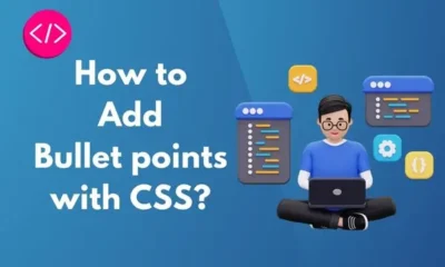 How to Add Bullet points with CSS