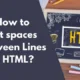 How to Put spaces between Lines in HTML