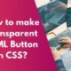 How to make a transparent HTML button in CSS