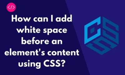 How can I add white space before an element's content using CSS