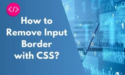 How to Remove Input Border with CSS