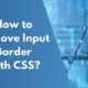 How to Remove Input Border with CSS