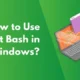 How to Use Git Bash in Windows?